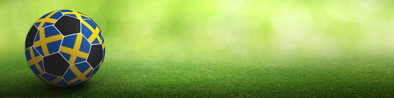 Svensk licens - För och nackdelar med Spelinspektionen